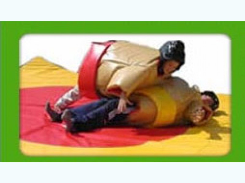 adult sumo wrestling photo