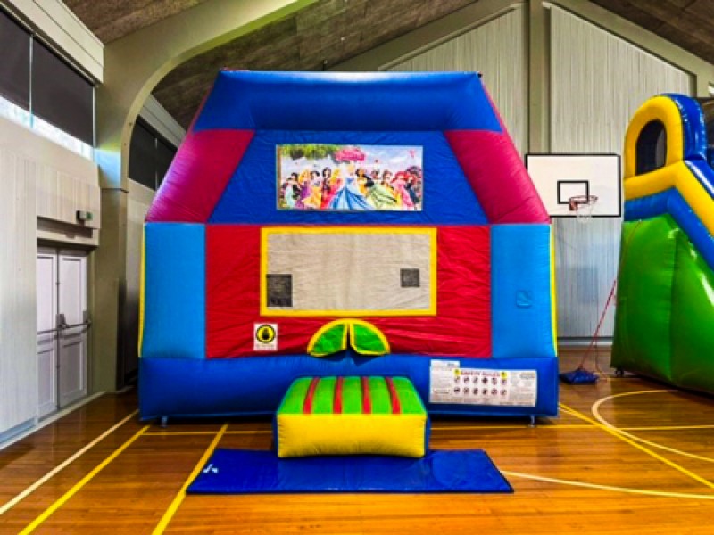 big bouncer bouncy castle 1