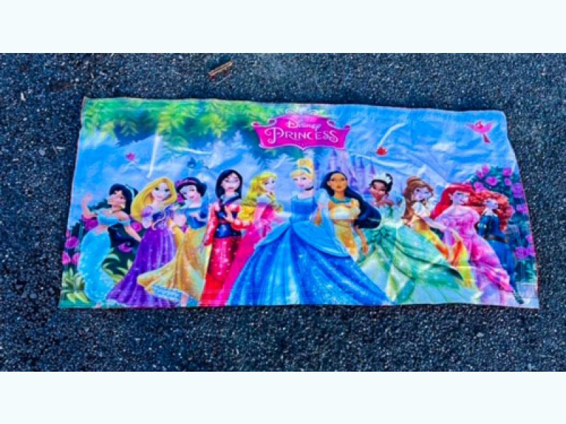 bouncy castle banners disney princesses